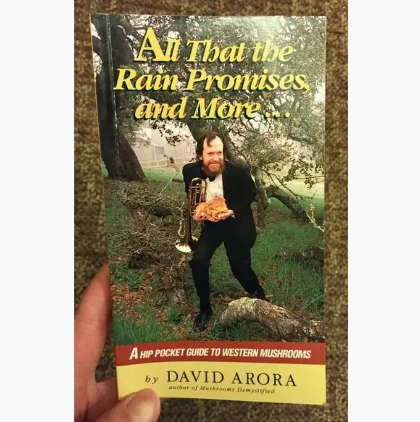 Book - All that the Rain Promises and More