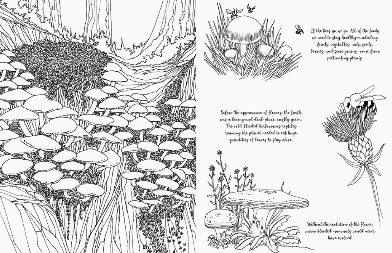 Coloring Book - Fantastic Fungi