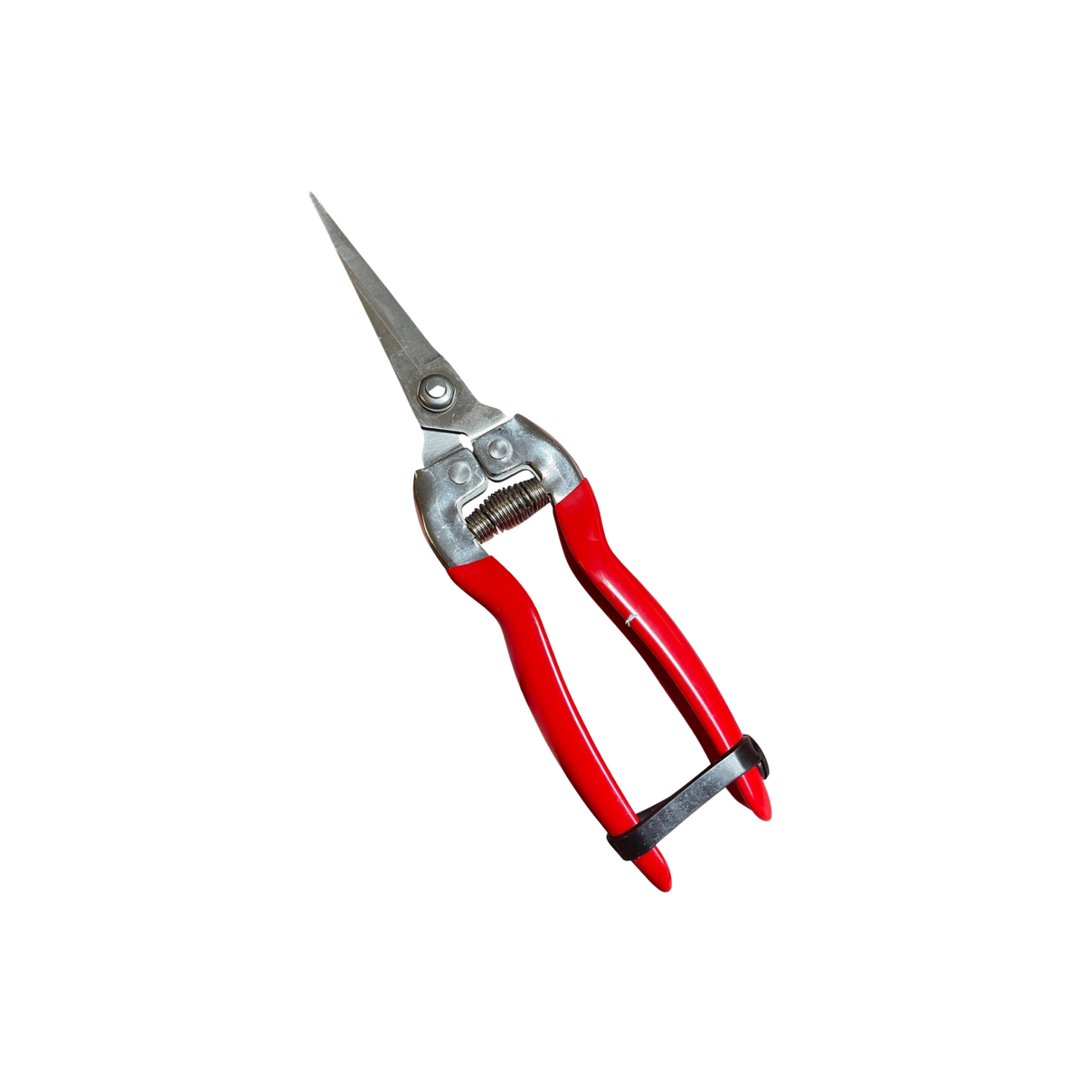 Garden Shears & Snips
