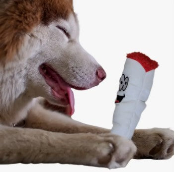 Paw 20 Pet Toy - Jay the Joint 420 Dog Toy
