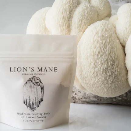 Plantae & Fungi - Lion's Mane Mushroom Powder - Organic 1:1 Extract