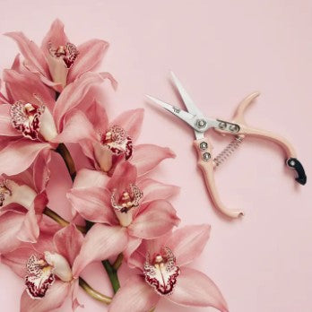 Garden Shears & Snips