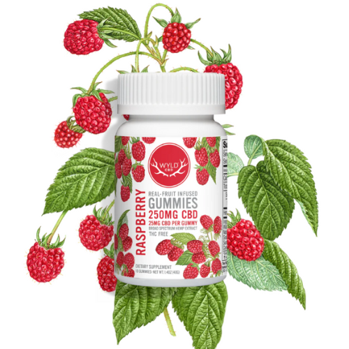 WYLD Raspberry CBD Gummies