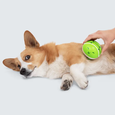Paws & Relax: the Ultimate Pet Massager