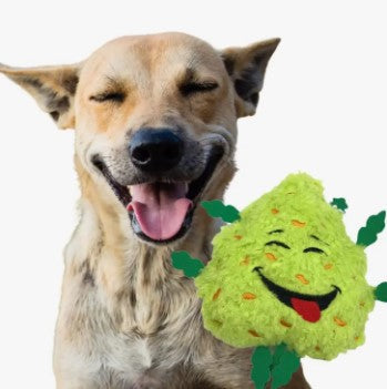 Paw 20 Pet Toy - Bud the Weed Nug 420 Dog Toy