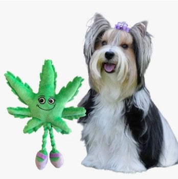 Paw 20 Pet Toy - Mary Jane the Weed Leaf 420 Dog Toy