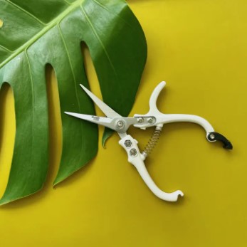 Garden Shears & Snips