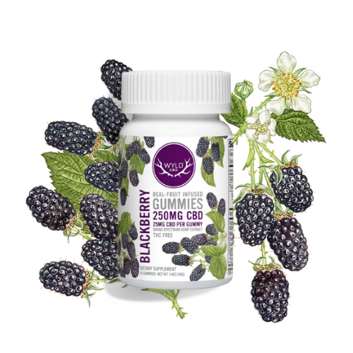 WYLD Blackberry CBD Gummies