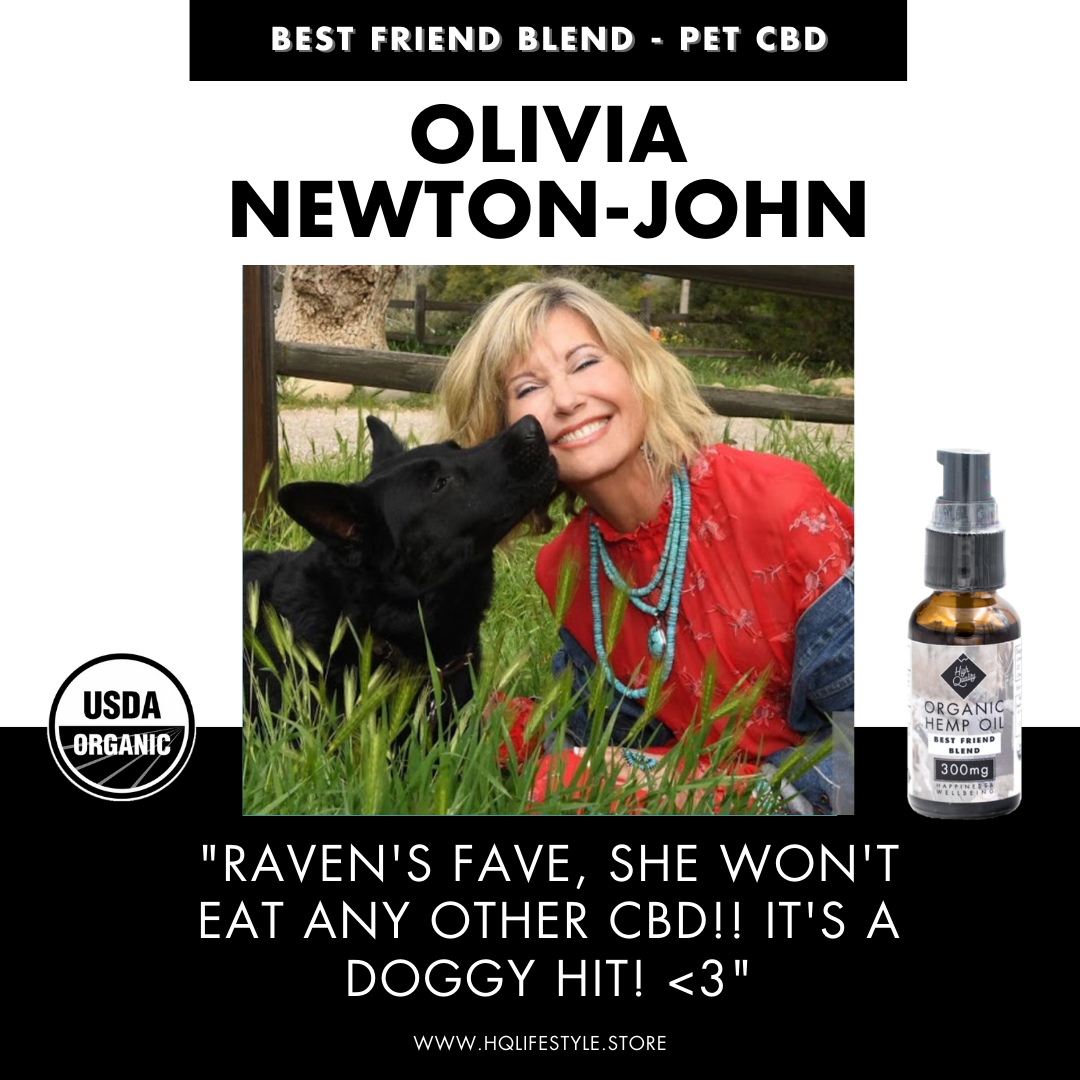 High Quality 300mg Best Friend Blend CBD Pet Tincture