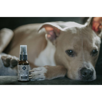High Quality 300mg Best Friend Blend CBD Pet Tincture