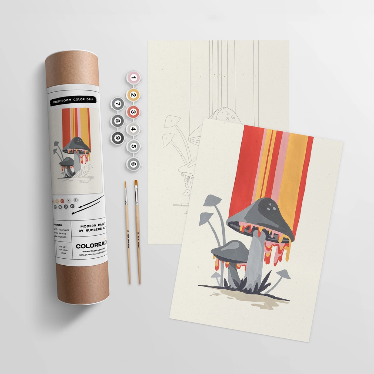 Paint by Numbers Kits - Coloready