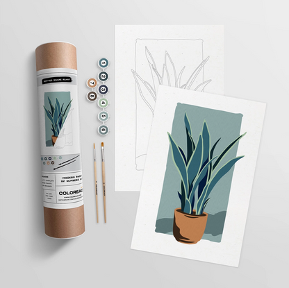 Paint by Numbers Kits - Coloready